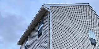 Best Siding Painting and Refinishing  in Nash, TX